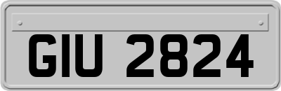 GIU2824