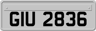 GIU2836
