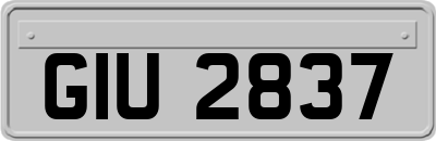 GIU2837