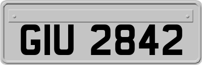 GIU2842