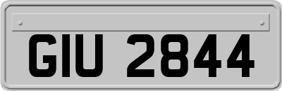 GIU2844
