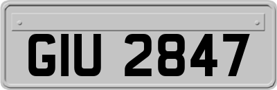 GIU2847
