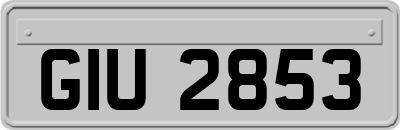 GIU2853