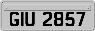 GIU2857