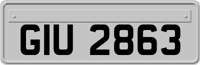 GIU2863