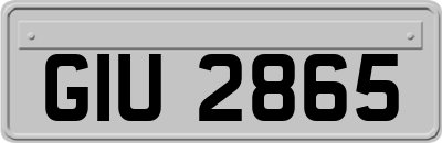 GIU2865
