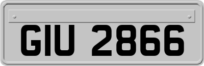 GIU2866