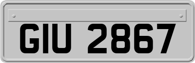 GIU2867