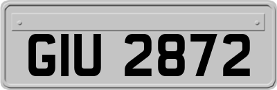 GIU2872