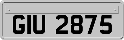 GIU2875