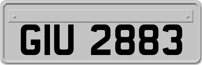 GIU2883