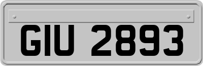 GIU2893