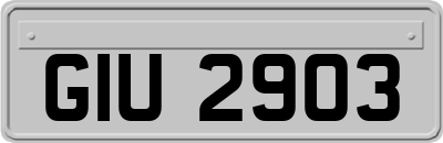 GIU2903
