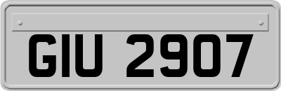 GIU2907