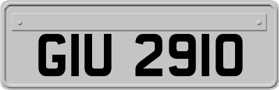 GIU2910