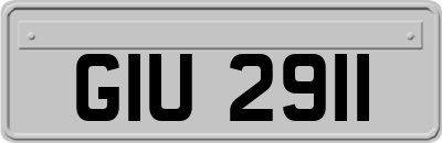 GIU2911