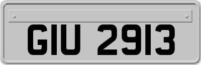 GIU2913
