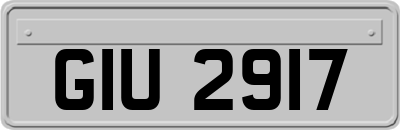 GIU2917