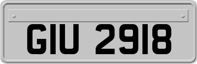 GIU2918