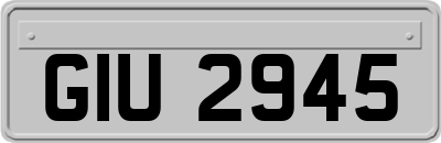 GIU2945