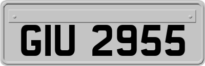GIU2955