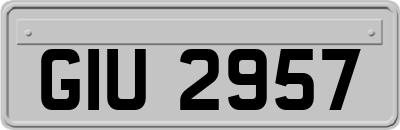GIU2957