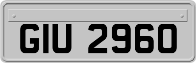 GIU2960