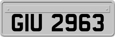 GIU2963