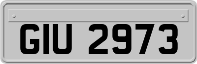 GIU2973