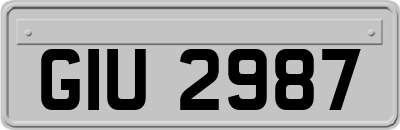 GIU2987