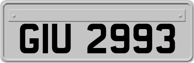 GIU2993