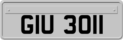 GIU3011