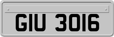 GIU3016