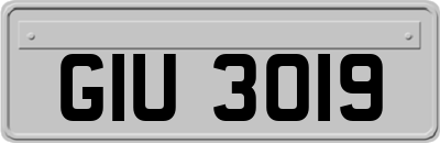 GIU3019