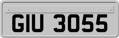 GIU3055