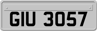 GIU3057