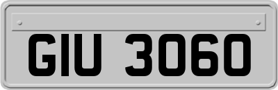 GIU3060