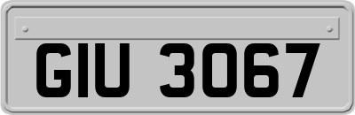 GIU3067