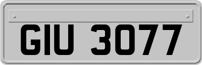 GIU3077