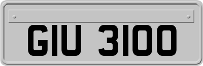 GIU3100