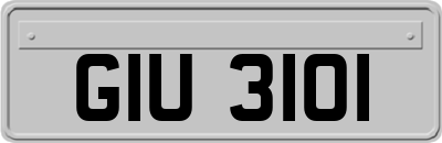 GIU3101