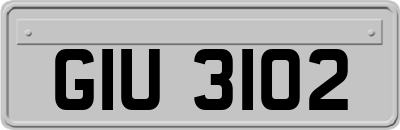 GIU3102