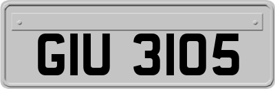 GIU3105