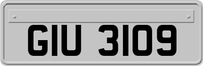 GIU3109