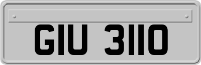 GIU3110