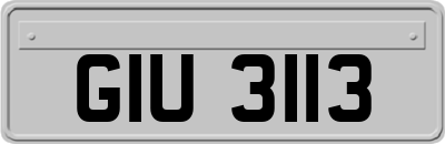 GIU3113