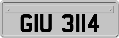 GIU3114