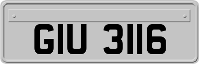 GIU3116
