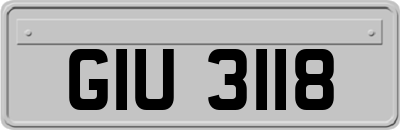 GIU3118