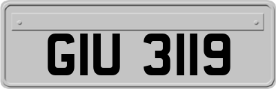 GIU3119